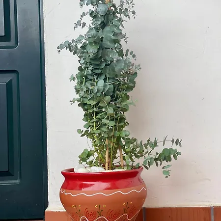 Townhouse ,cabopino *