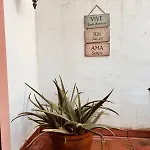 Mirador De Cabopino , Townhouse Bij Cabopino Nyaraló *