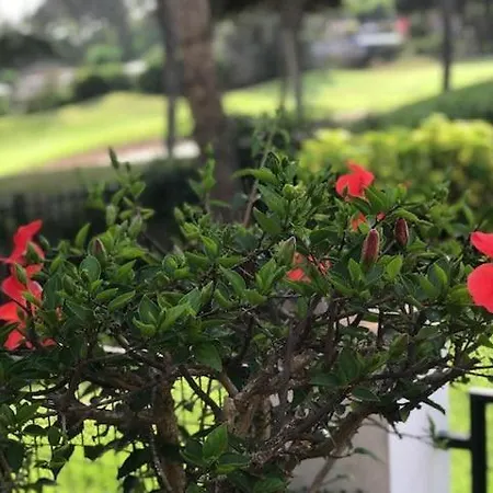 Townhouse ,cabopino Marbella