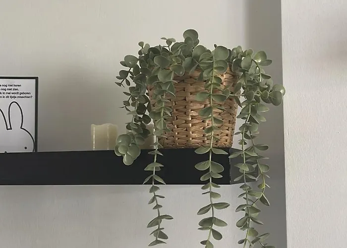 別荘 Townhouse ,cabopino *