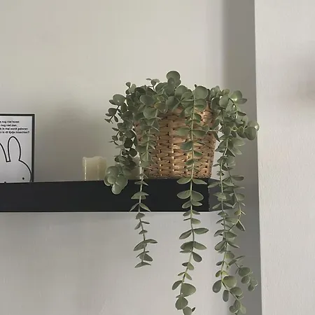 בית נופש Mirador De Cabopino , Townhouse Bij Cabopino *