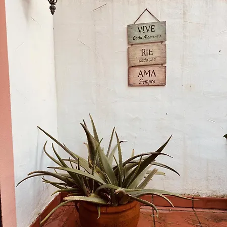 Mirador De Cabopino , Townhouse Bij Cabopino בית נופש *